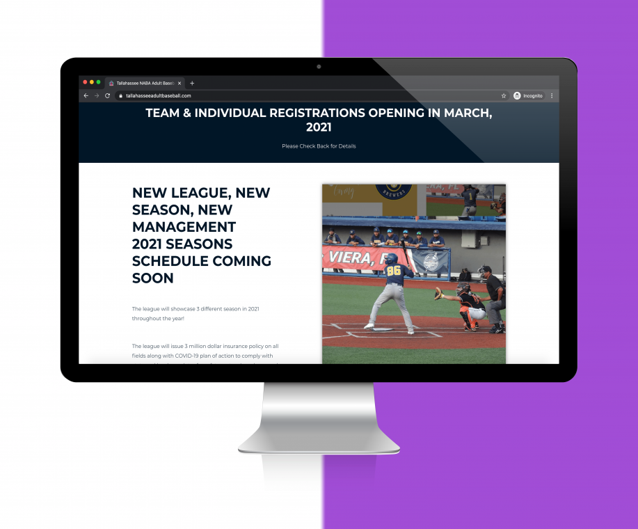 Tallahassee Adult Baseball Website Design